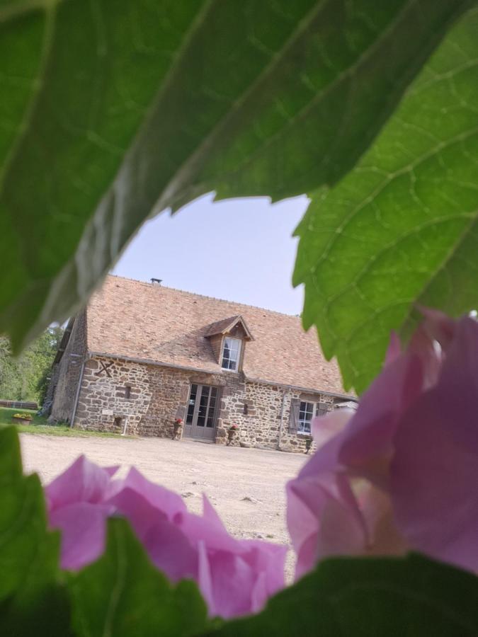 Les Naturelles Saint-Aubin-de-Locquenay Ngoại thất bức ảnh